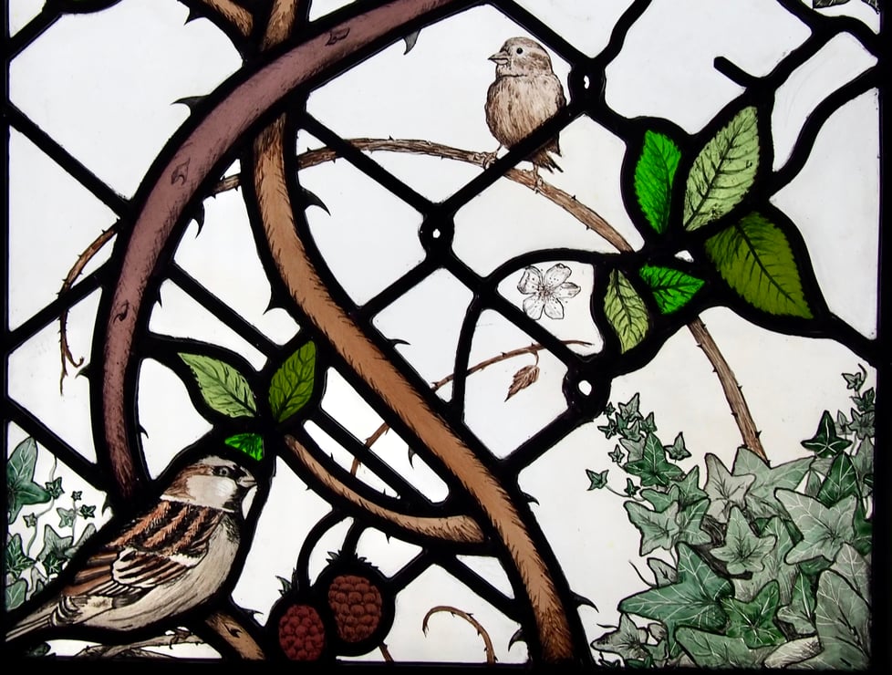 Rachel Buckley Stained Glass