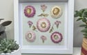 Pressed Flower Framed Art