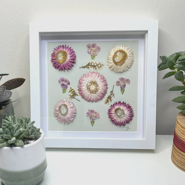 Real Pressed and Dried Flower Botanical Framed Art