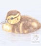Duckling Blank Card - Image 1