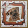 Border Terrier - 7x7" Birthday Card