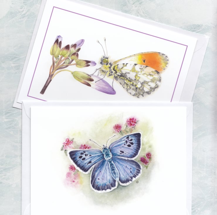 Butterfly Greetings Cards, 2 Card Pack - Folksy