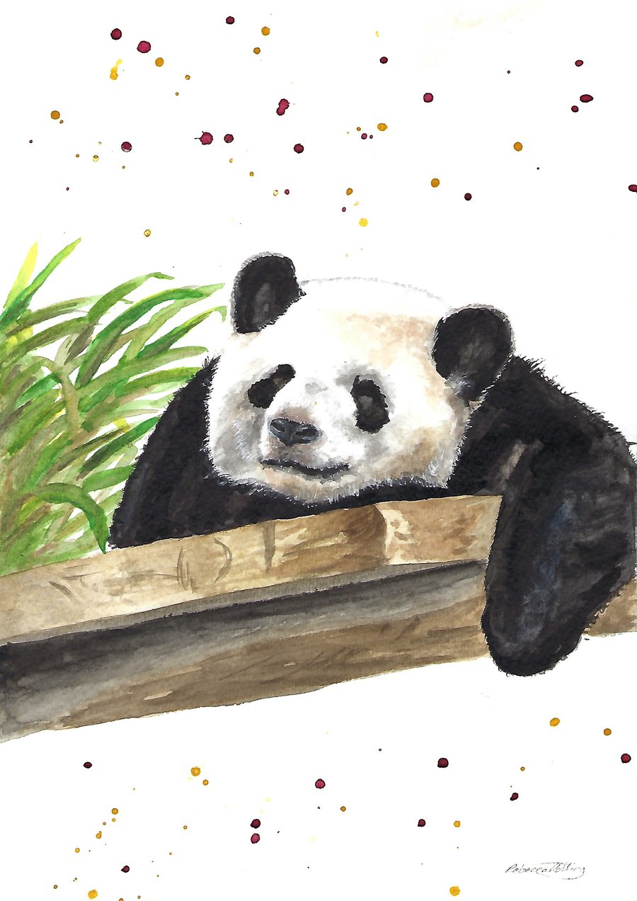 Giant Panda - Original Watercolour Painting