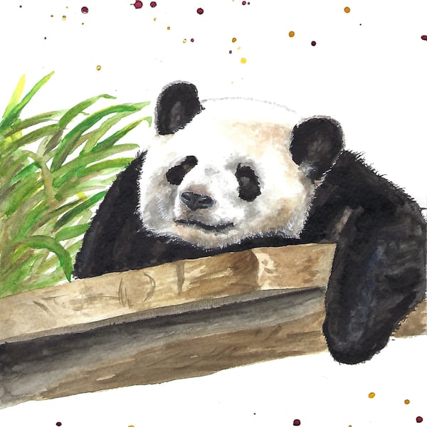 Giant Panda - Original Watercolour Painting