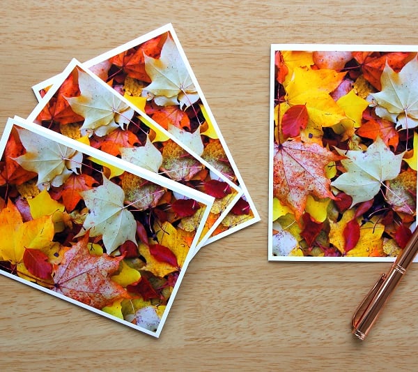 Autumn Leaves Greeting Cards or Notelets, pack of 4