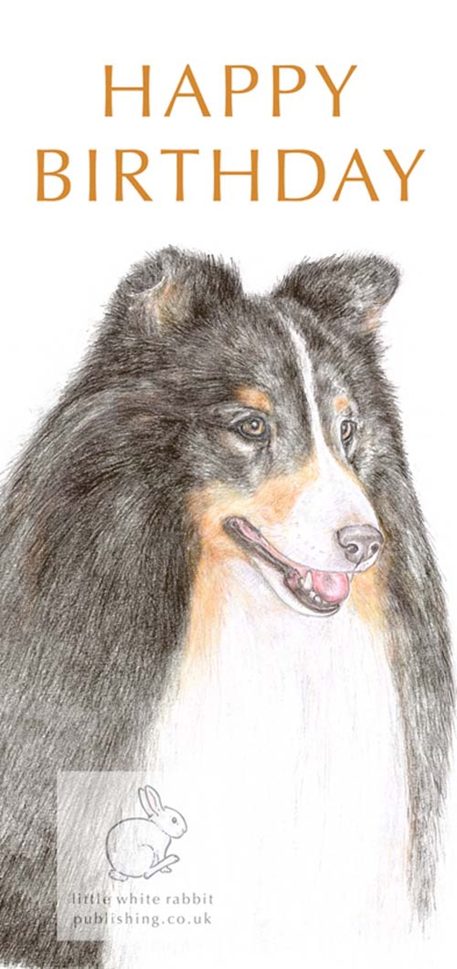 Kitty the Shetland Sheepdog - Birthday Card