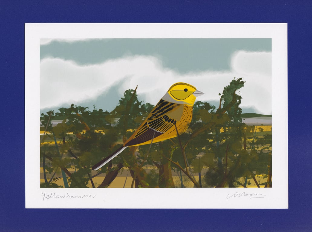 Yellowhammer - A5 print - bird illustration