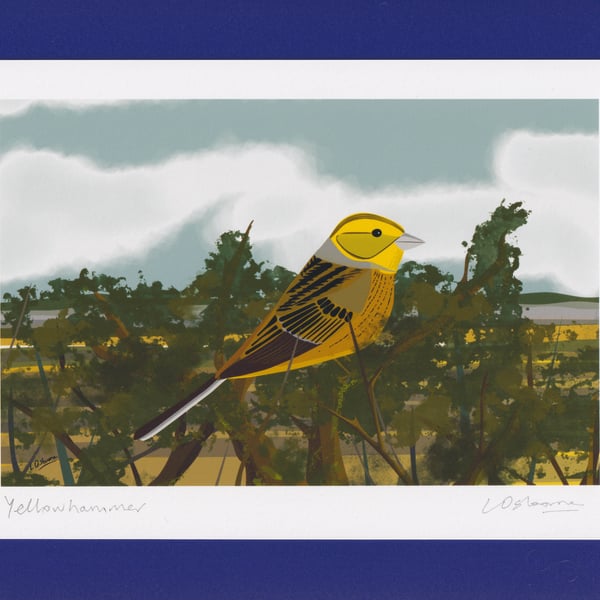 Yellowhammer - A5 print - bird illustration