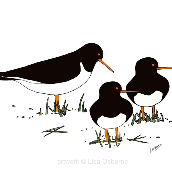 Oystercatchers - bird art print