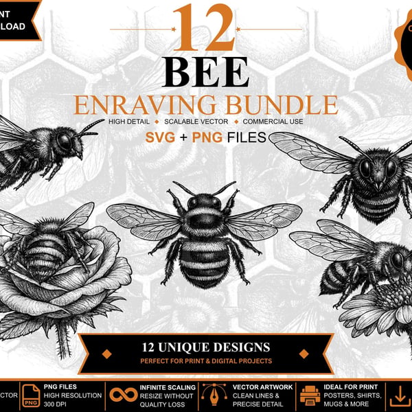12 Vintage Bee Engraving SVGs Bee Clipart Bundle (Digital Download)