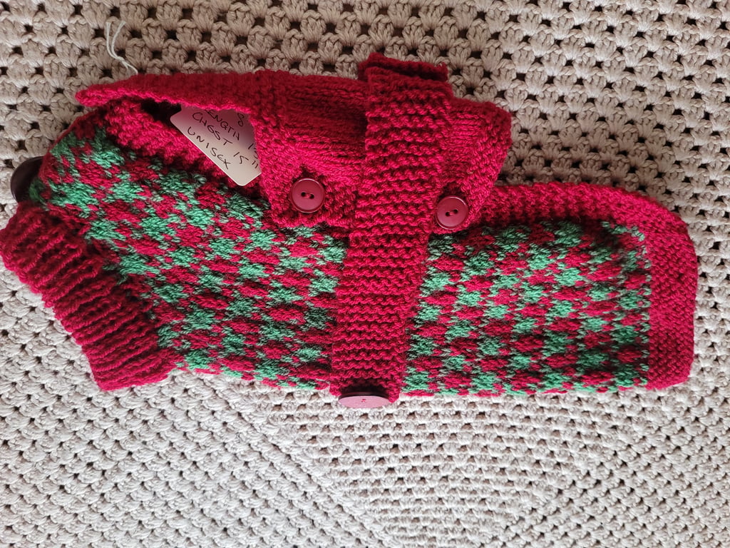Christmas dog coat