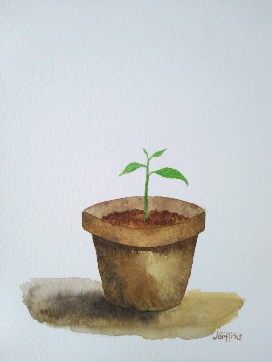 Original Watercolour Painting Small Plant in a Pot