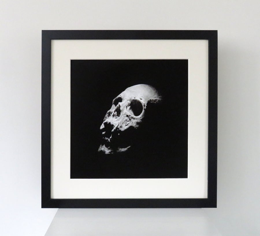 Human skull framed fine art print, memento mori gothic decor
