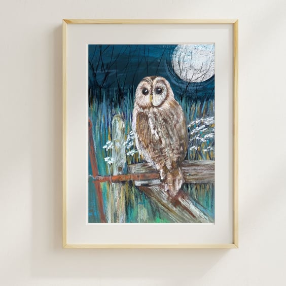 Owl Art Print - Tawny owl bird art print