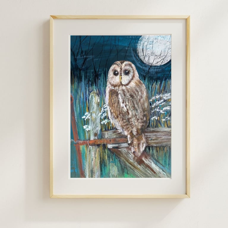 Owl Art Print - Tawny owl bird art print