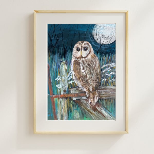 Owl Art Print - Tawny owl bird art print