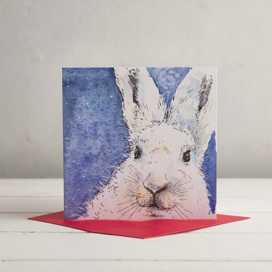 Artic Hare Christmas Card