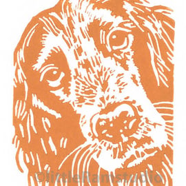 Dog - Cocker Spaniel - Original Hand Pulled Linocut Print