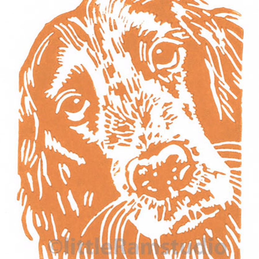 Dog - Cocker Spaniel - Original Hand Pulled Linocut Print