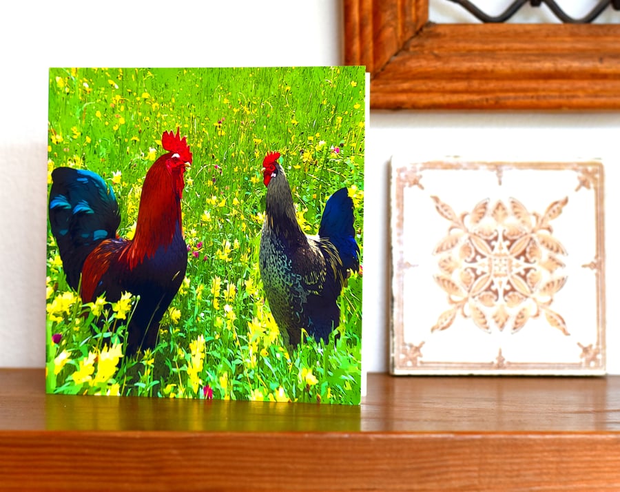 Two Chicken's, Greeting, or Birthday Card