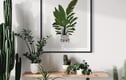 Plant Art Prints