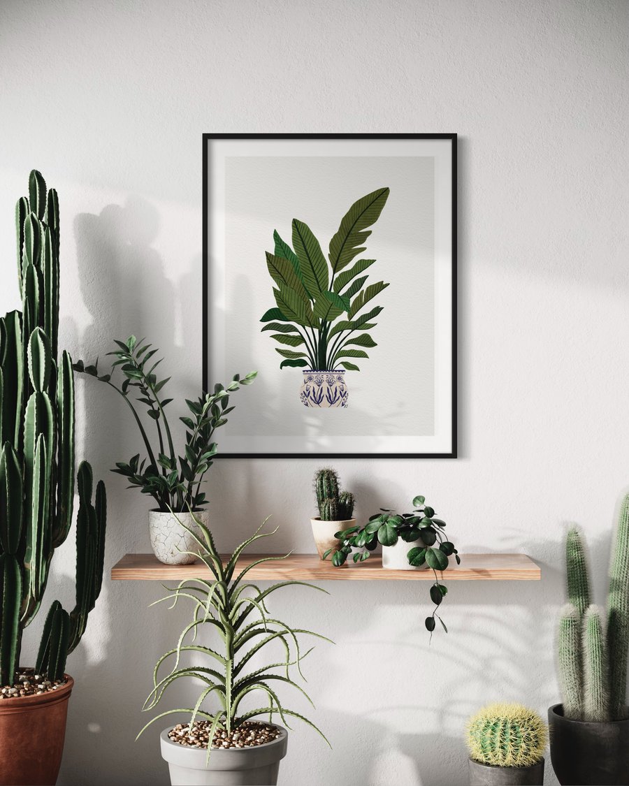 Birds of Paradise Plant Illustration A4 Art Print