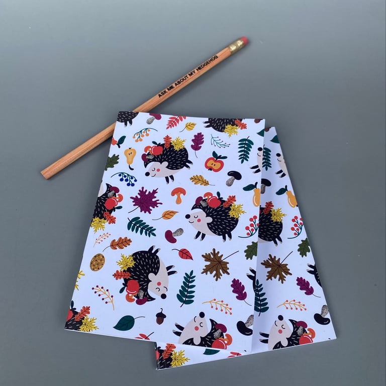 A6 Autumn hedgehogs note book. 48-page A6 notebooks full colour hedgehog cover