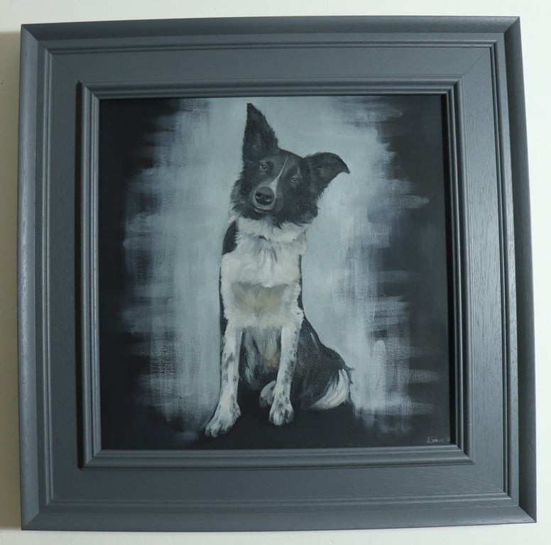 Portrait of a Boarder Collie Painting, Sheep Dog, Original Artwork, Not Print
