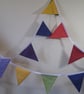Rainbow Bunting - Image 2
