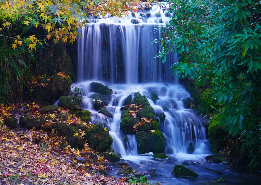 Littlebredy Waterfall, Dorset