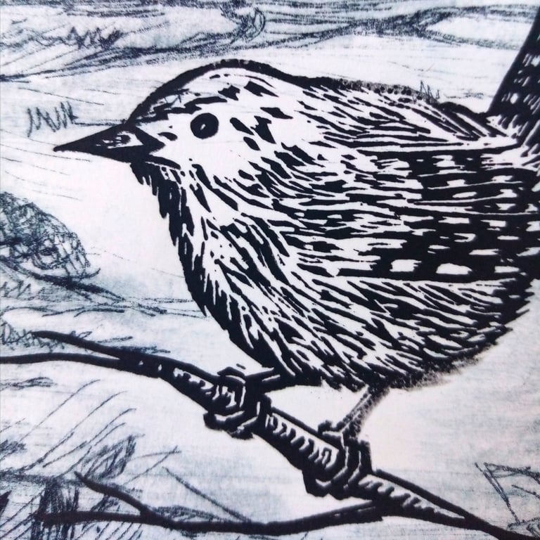 Amanda Cardoso Printmaker