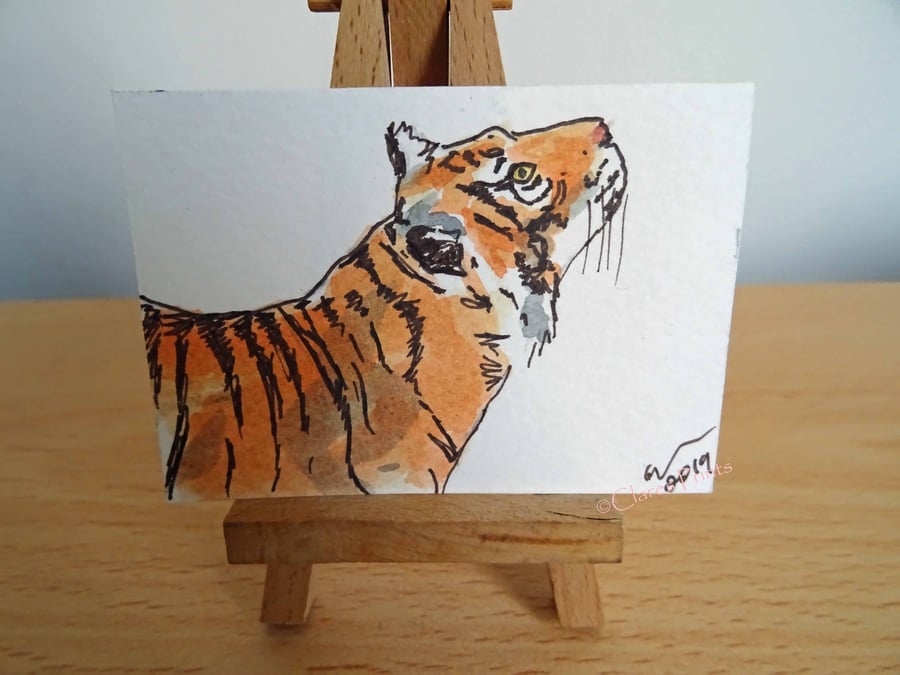 ACEO Animal Art Tiger Stare Original Watercolour Ink Painting OOAK 