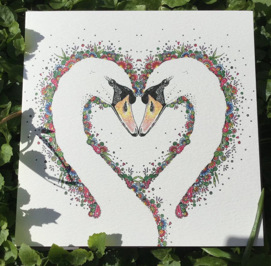 Swan Heart 