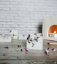 Wild Plum & Cedarwood Botanical Soy Wax Melts - Scented Wax Melts - Handmade
