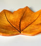 Autumn Leaf trinket and jewellery dish - Image 3