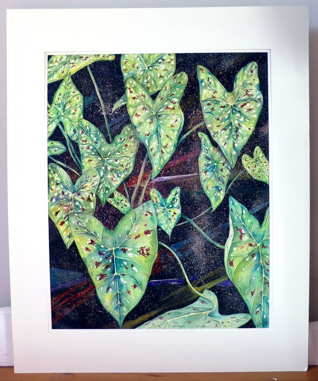 Green Caladium Leaves Tropical Plant  Botanical Watercolour Original Painting
