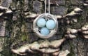 Nest Necklaces