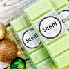 Spiced Apple Snap Bar Wax Melts