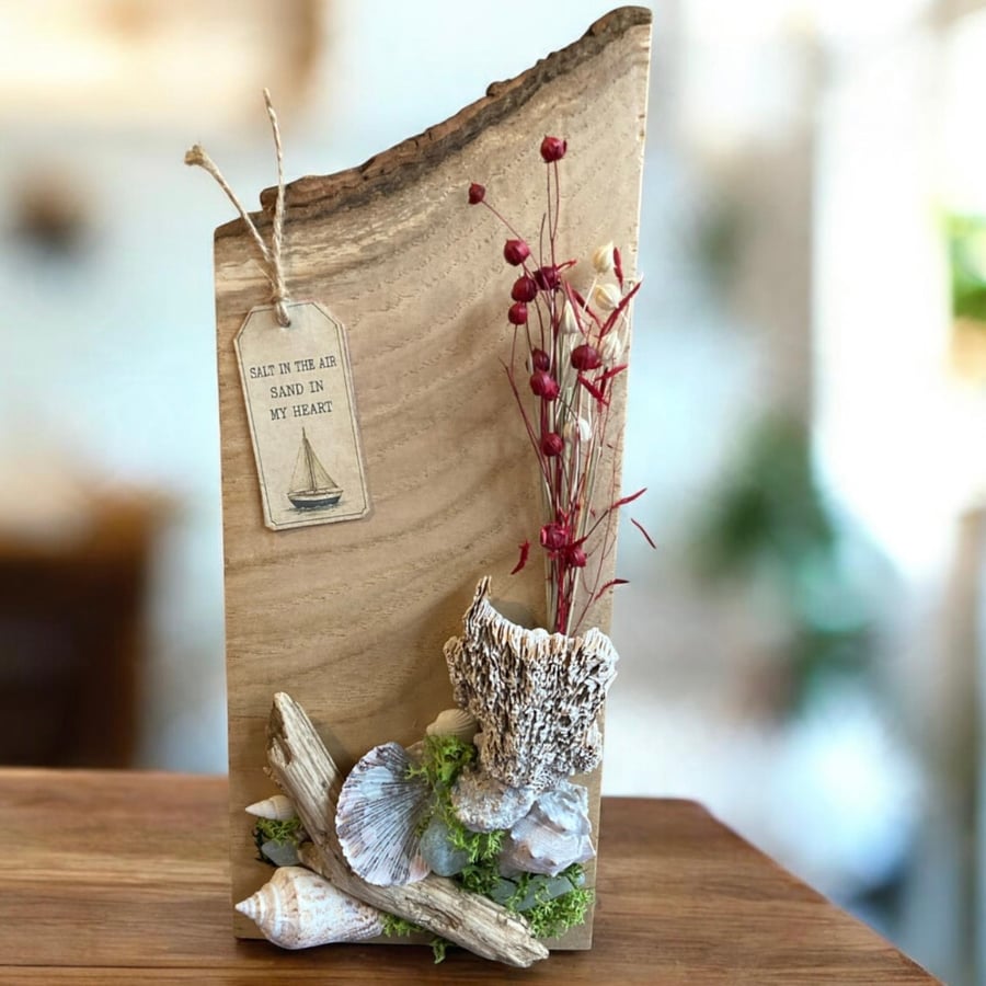 Handcrafted Red Oak Coastal Wooden Display Plaque with Sea Shells & Driftwood 