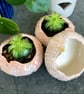 Ceramic succulent planters - Image 3