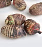 Ceramic Acorns - set of three rustic handmade acorns for a nature display