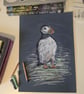 Puffin, an A4 signed print of an original drawing - Image 4