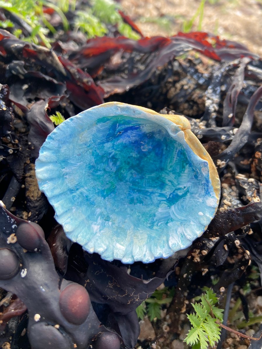 Hand painted clam shell from an Argyll beach. 