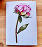 Peony card for all occasions - Image 2