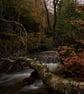 Photographic Print -a Rushing Stream in Autumn in the Black Mountains, Wales - Image 2