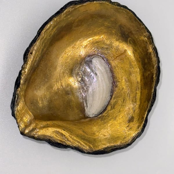 Oyster shell soap dish