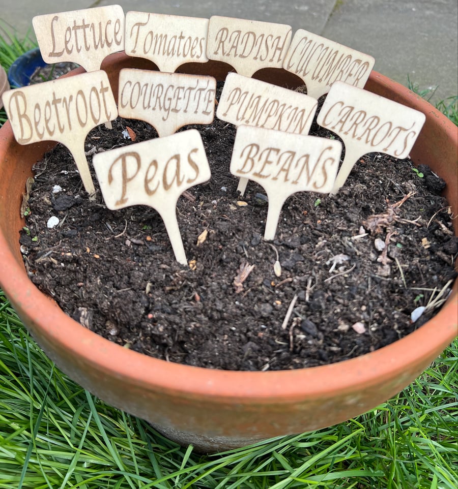 Wooden Seed or Plant Markers
