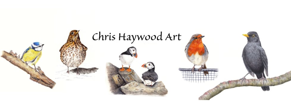 Chris Haywood Art