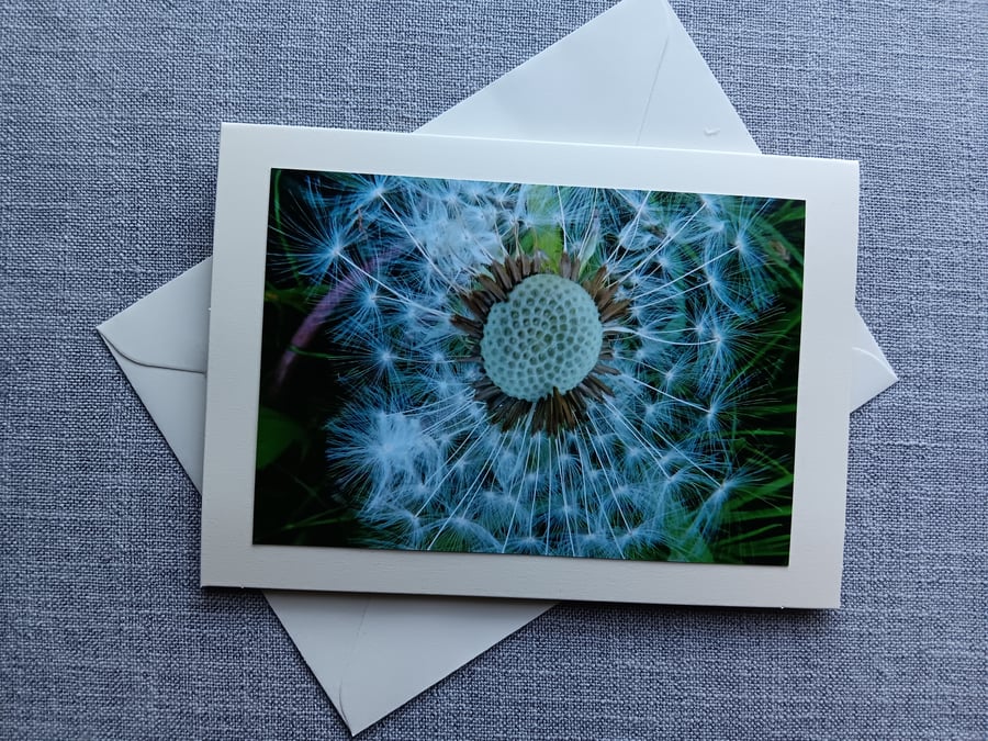 Dandelion Wheel Large Photographic Card Size 7" x 5" Blank