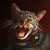 Simon Mark Knott ~ Wildlife, Pets & Trains ~ Original Fine Art & Prints